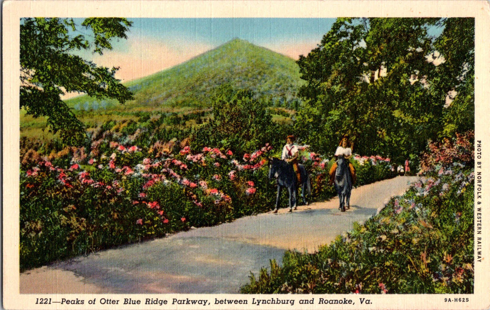 Vintage C. 1940\'s Horseback Riding Flower Lined Blue Ridge Parkway VA Postcard