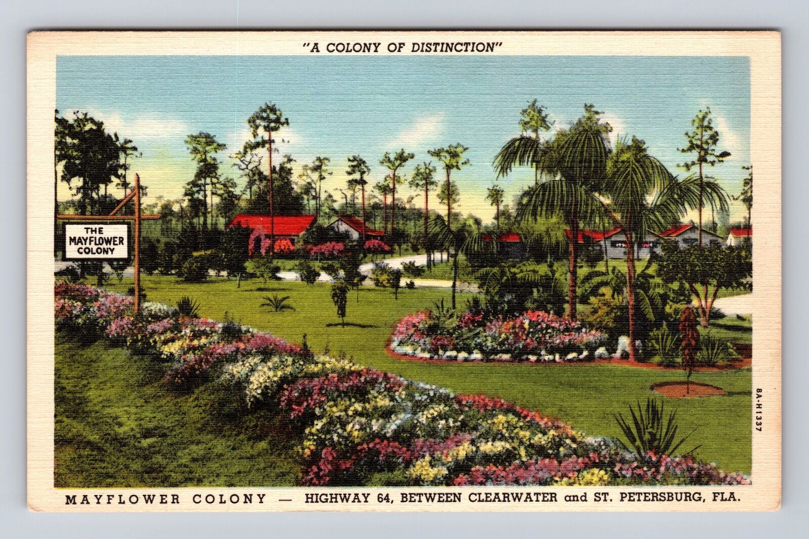 St Petersburg FL-Florida Mayflower Colony Advertising, Antique, Vintage Postcard