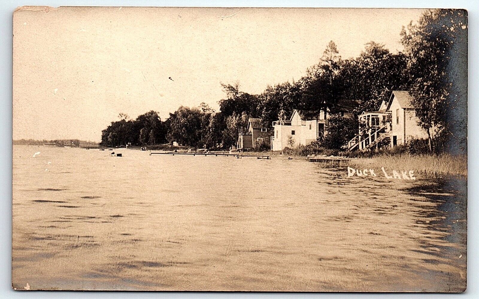 RPPC Duck Lake Springport Michigan Cottages Homes View from Lake Postcard c1908