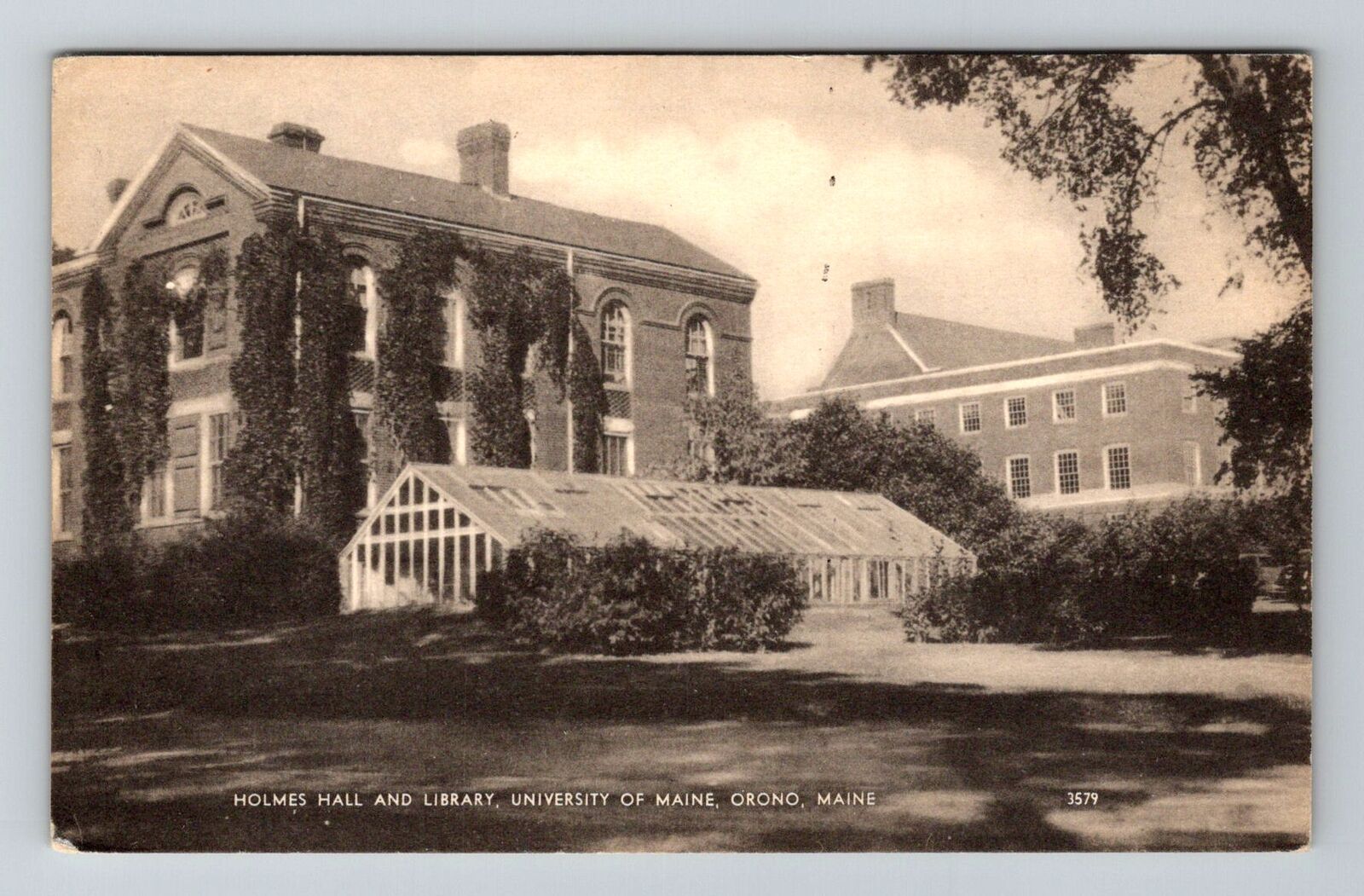 Orono ME-Maine, University of Maine, Holmes Hall and Library, Vintage Postcard