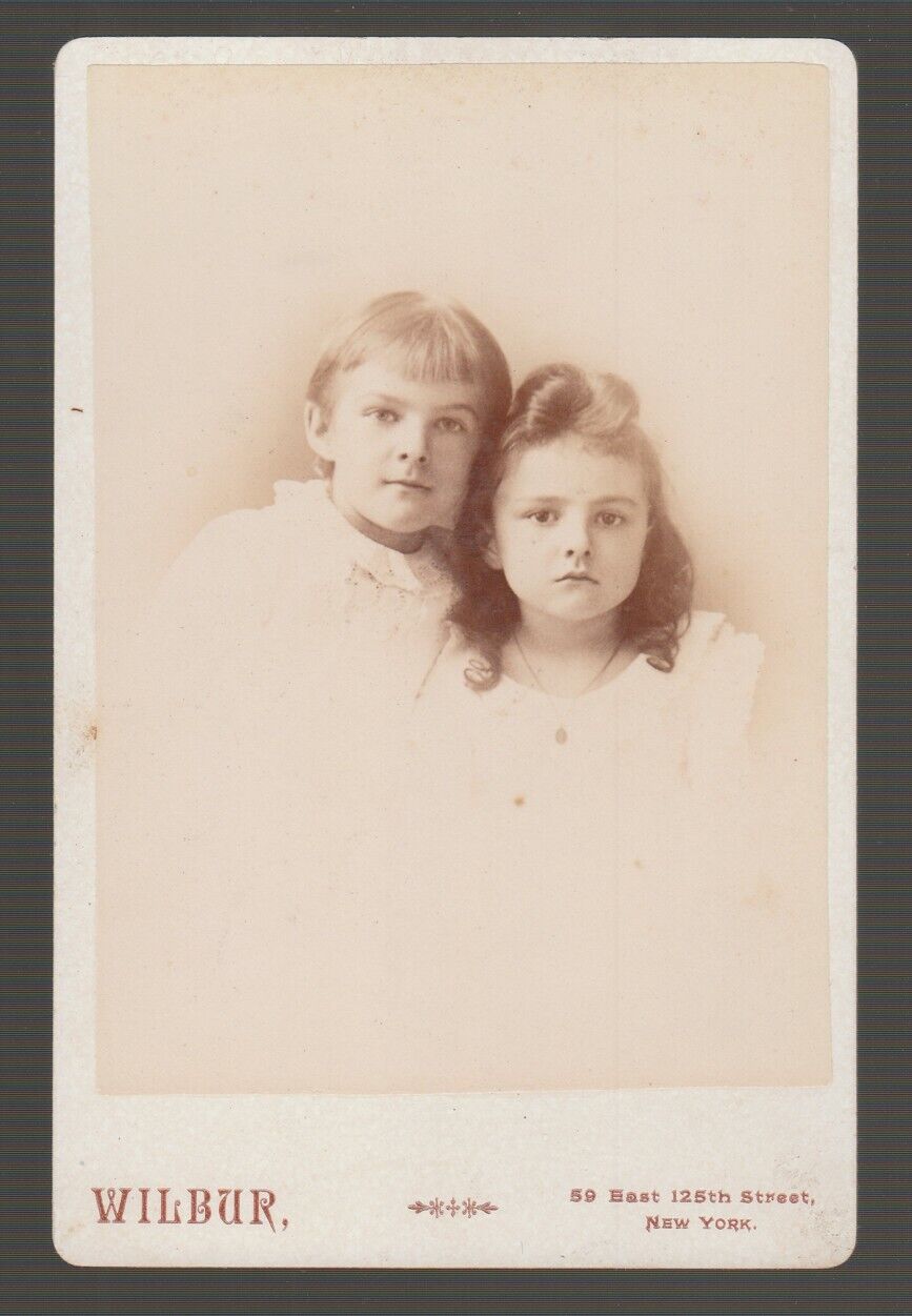 [71769] 1860-1880's CABINET CARD CUTE BROTHER & SISTER by WILBUR, NEW YORK CITY