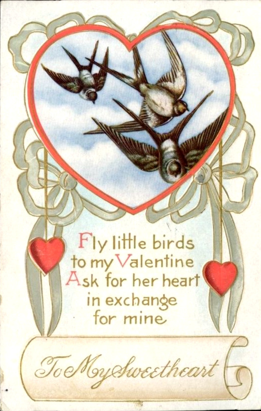 Antique Postcard Fly Little Birds To My Valentine Ask Her Heart For Mine  1911
