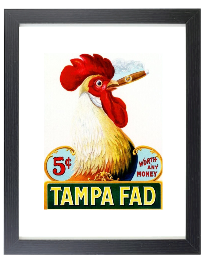 1905 Tampa Fad Rooster Retro Matted & Framed Cigar Box Label Art Print