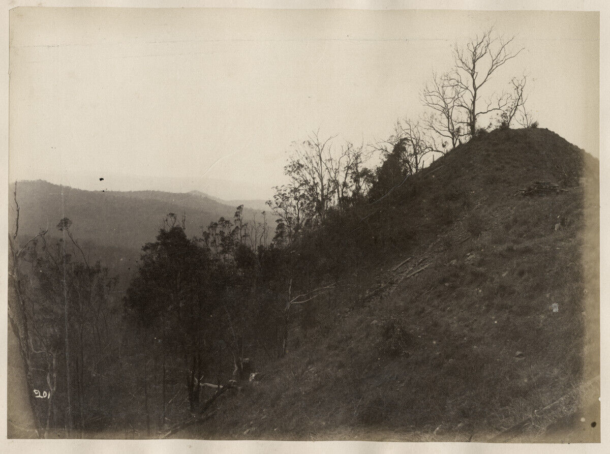 c. 1880\'s PHOTO AUSTRALIA QUEENSLAND - REMOTE HILLSIDE