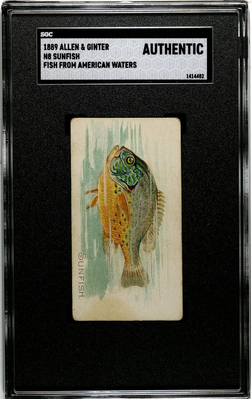 1889 N8 Allen & Ginter Sunfish 50 Fish From American Waters SGC A