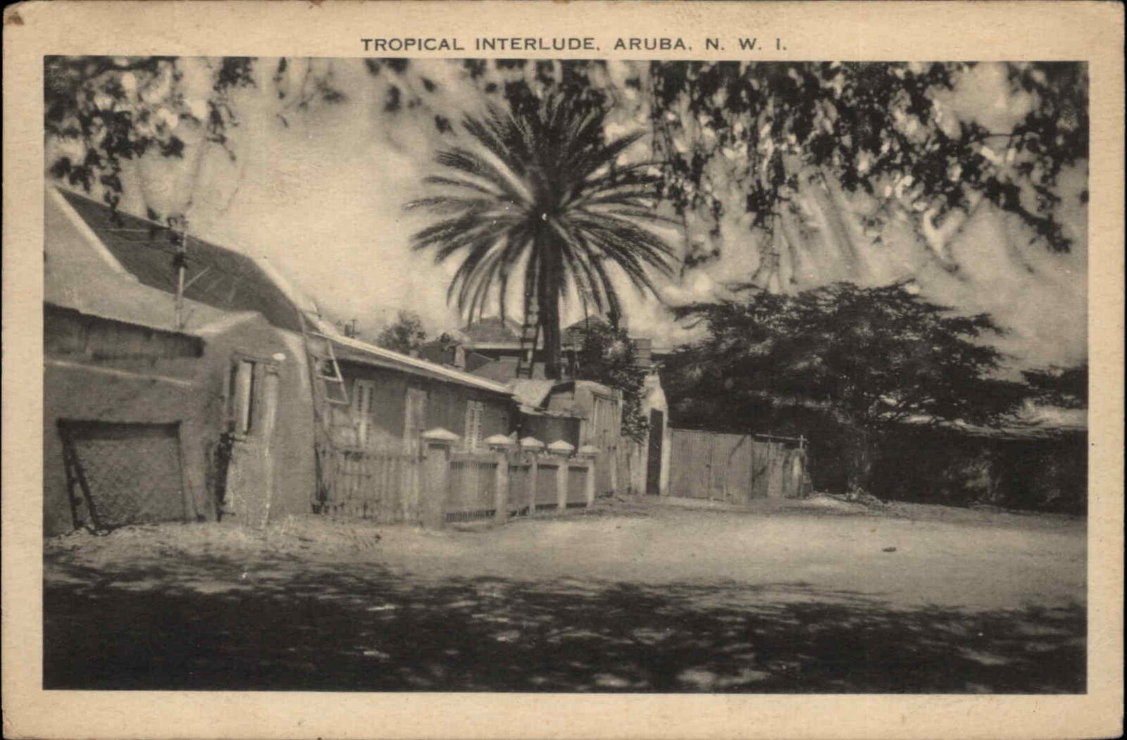 Aruba West Indies NWI Tropical Interlude Scene Vintage Postcard