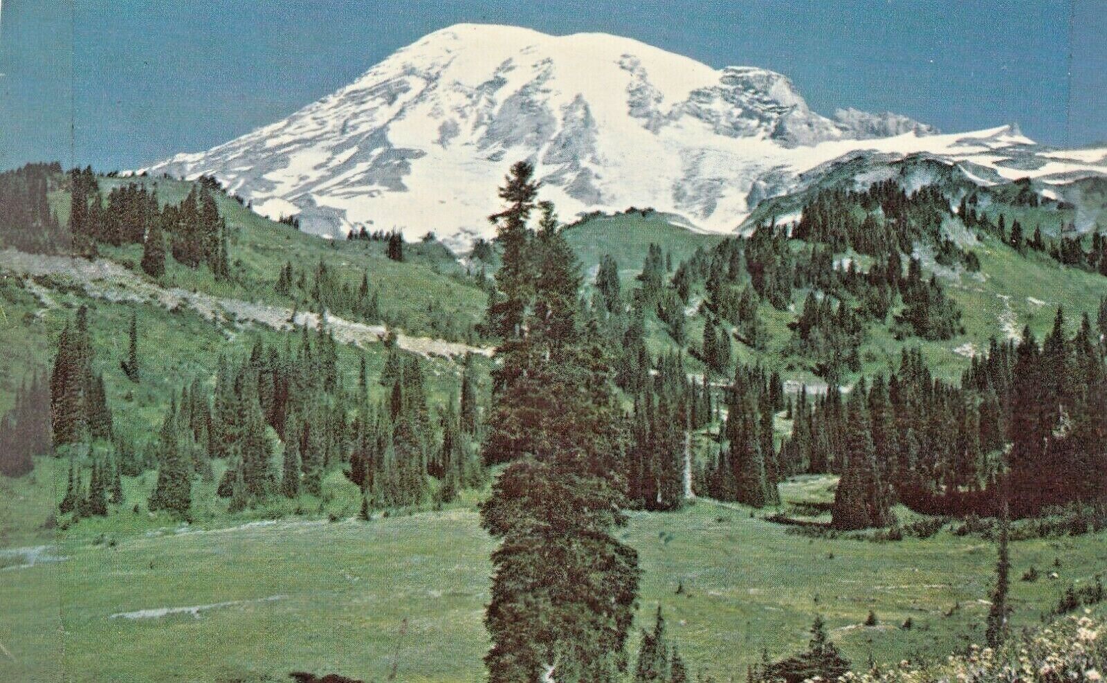 Vintage Postcard WASHINGTON MT RAINIER ACROSS PARADISE VALLEY  UNPOSTED CHROME