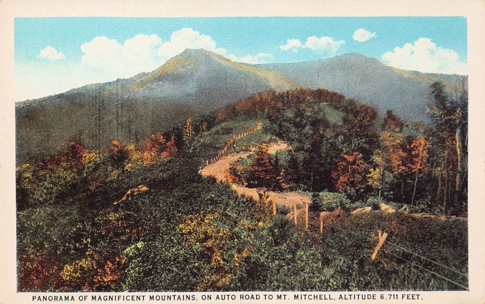 Asheville NC Mt Mount Mitchell Blue Ridge Parkway Yancey County Vtg Postcard C16