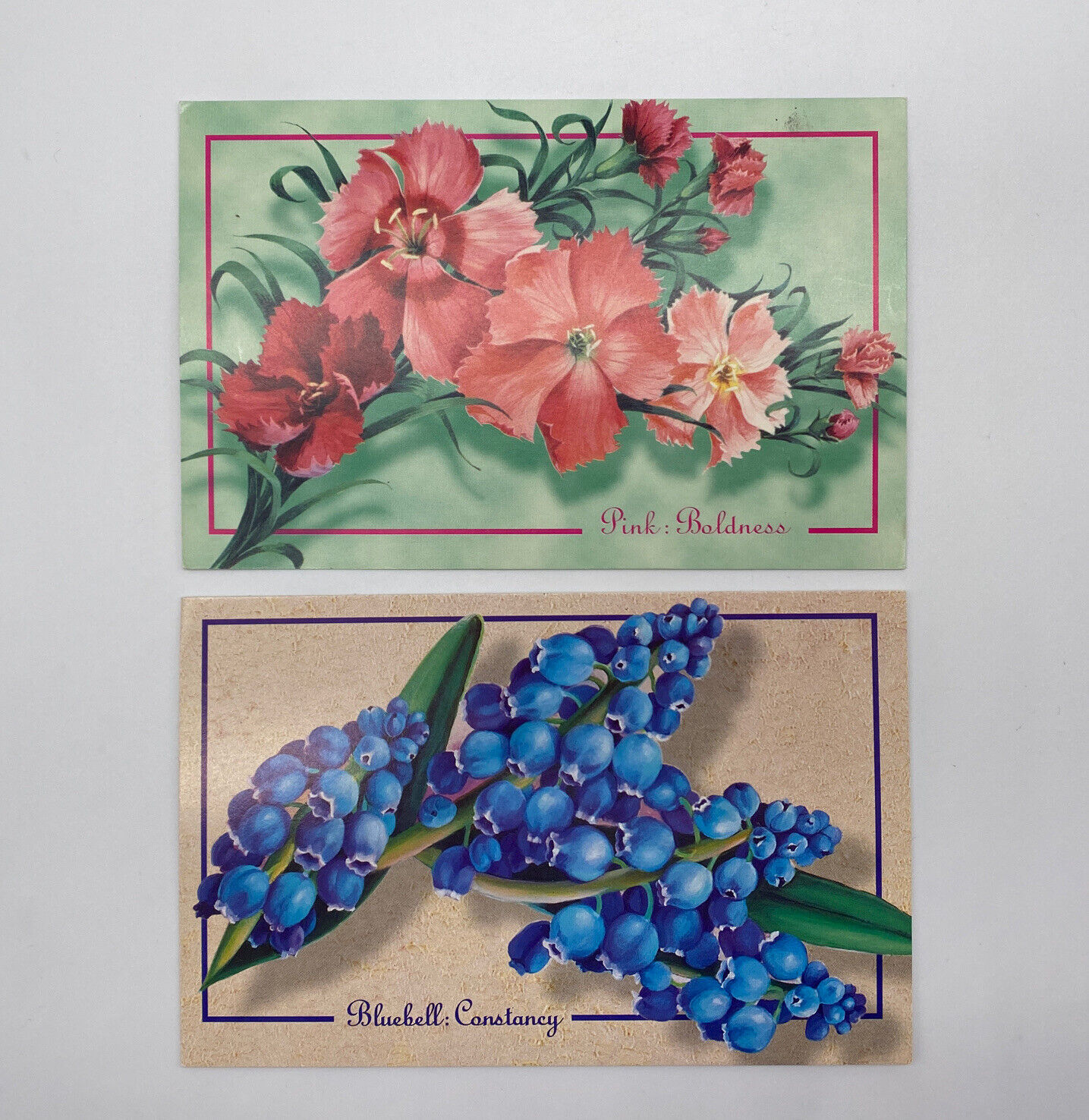 2 Harlequin Floral Collection Postcards Pink Boldness Bluebell Constancy