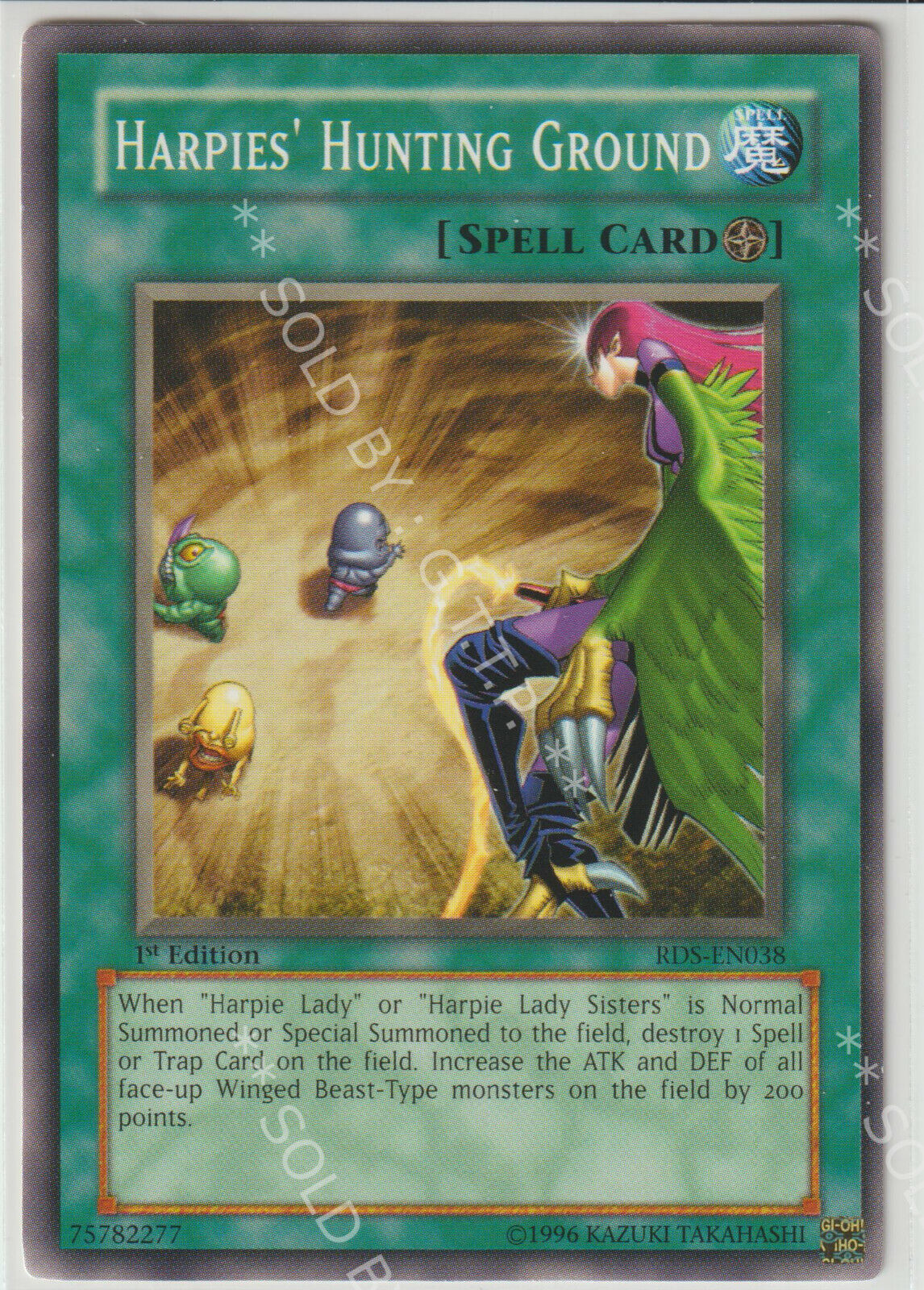 YUGIOH HARPIES HUNTING GROUND CARD - 1ST EDITION - RDS-EN038 NM -FREE UK P&P