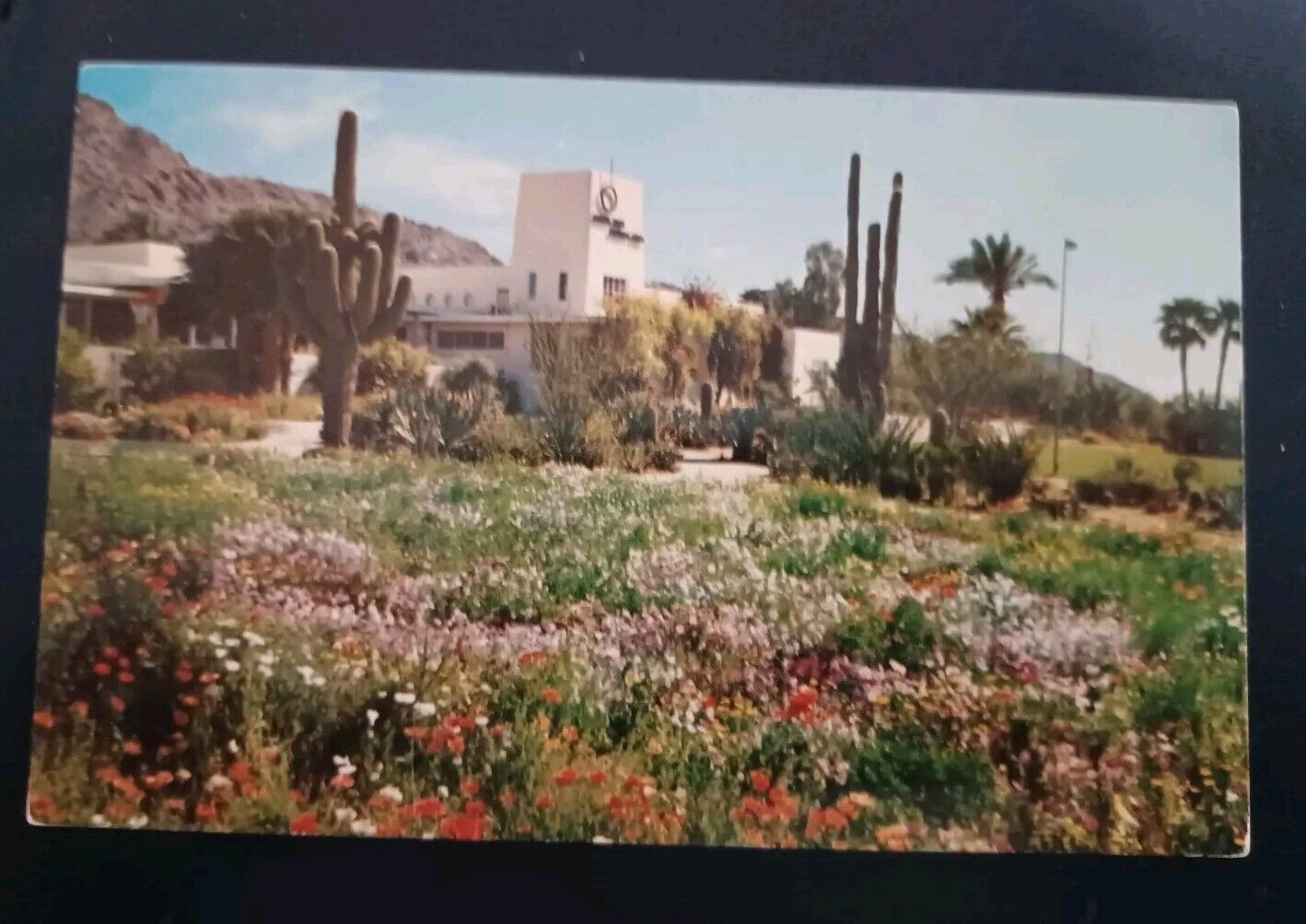 Postcard Camelback Inn near Phoenix Arizona USA