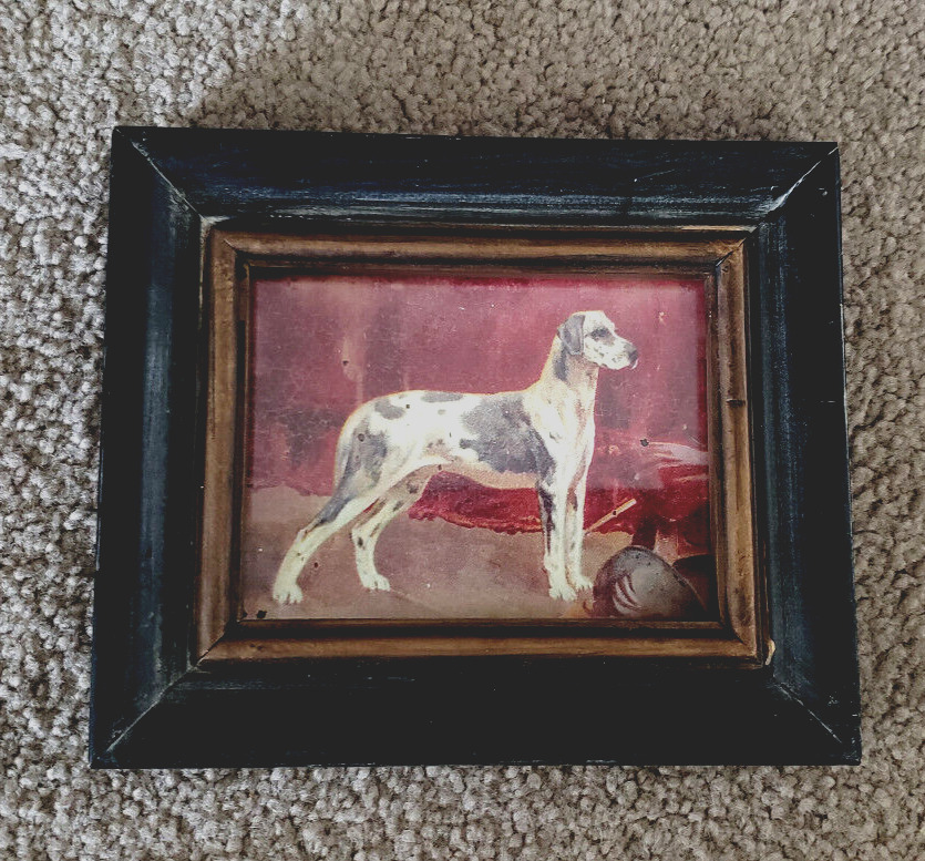 Vintage Great Dane Dog Print Art Wood Frame w/Glass  6-3/8\