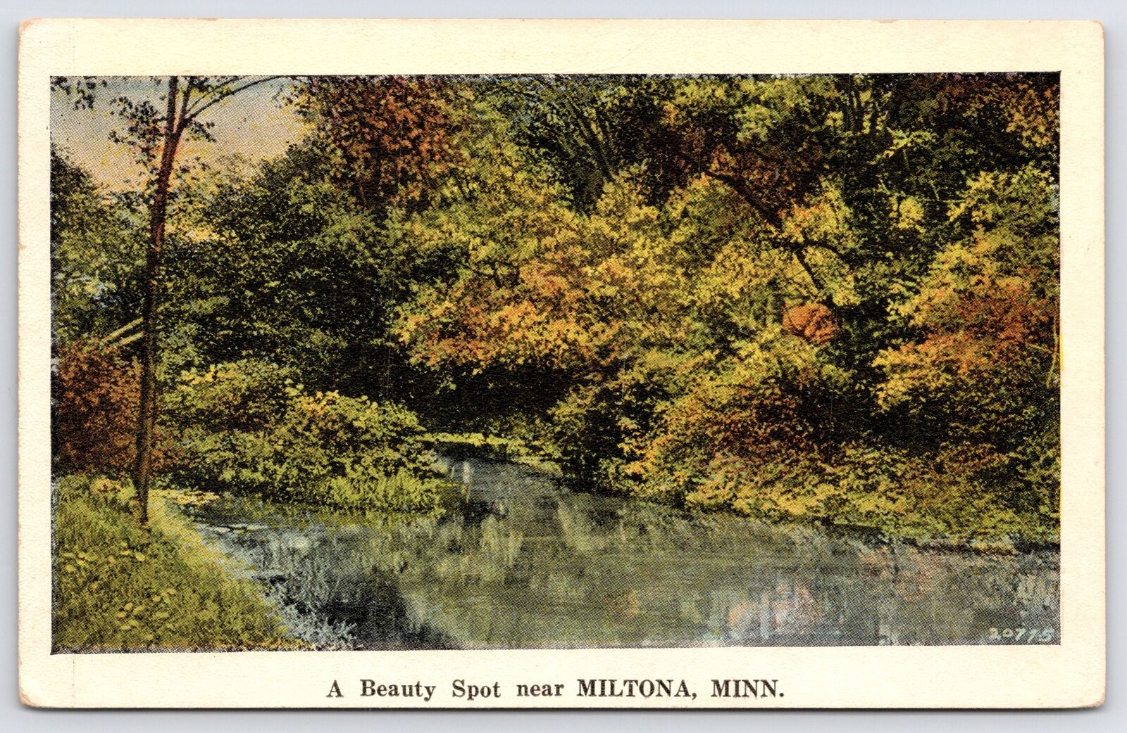 Miltona Minnesota~Beauty Spot Lake & Forest~Early Autumn Greetings 1929 Postcard