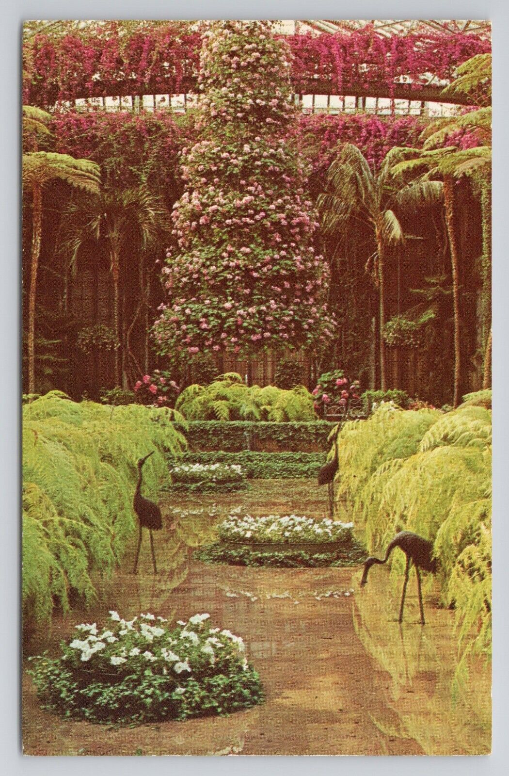 Postcard Longwood Gardens Kennett Square Pennsylvania