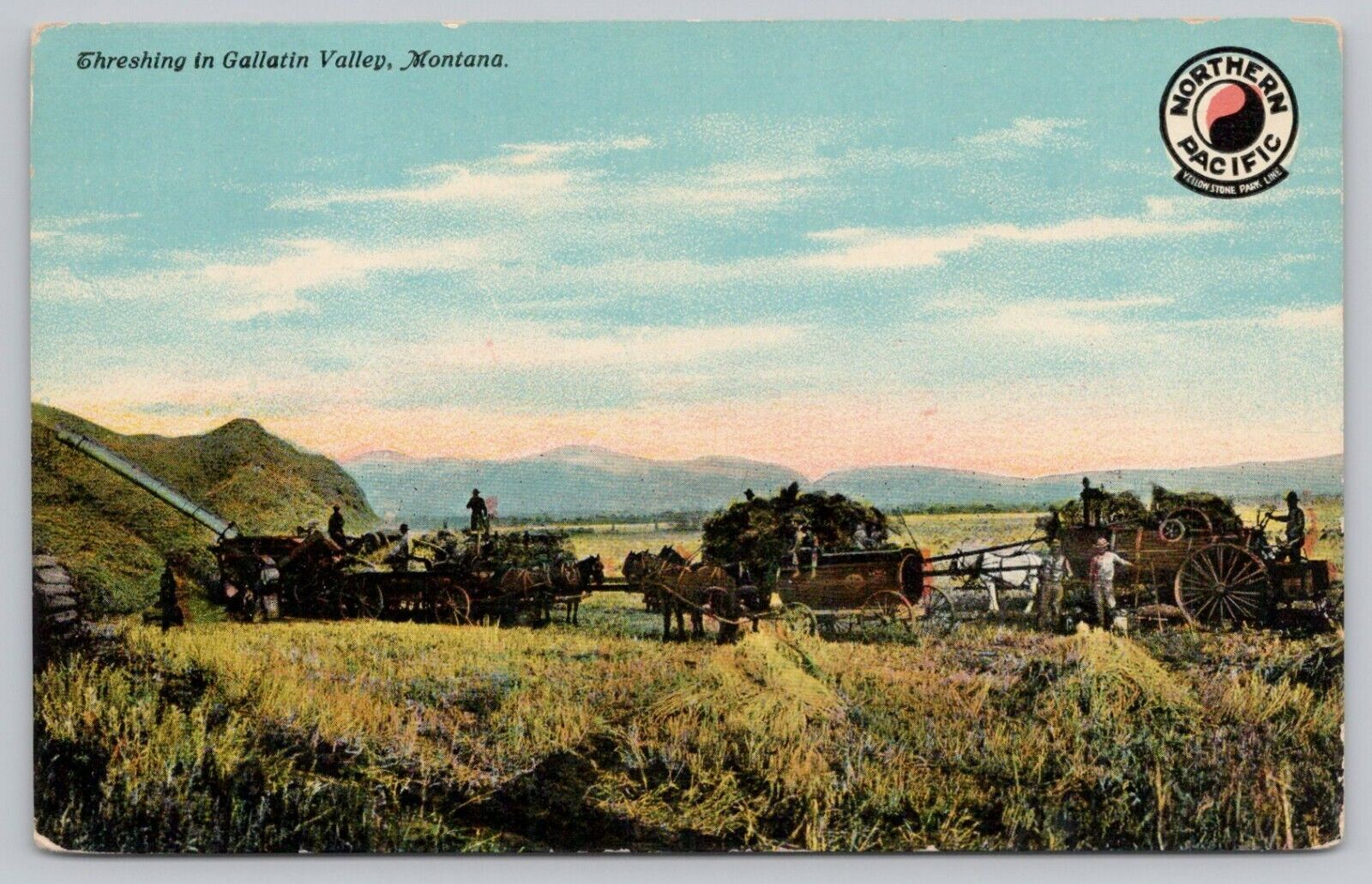 Postcard Threshing-Gallatin Valley South of Bozeman Montana - Northern Pacific