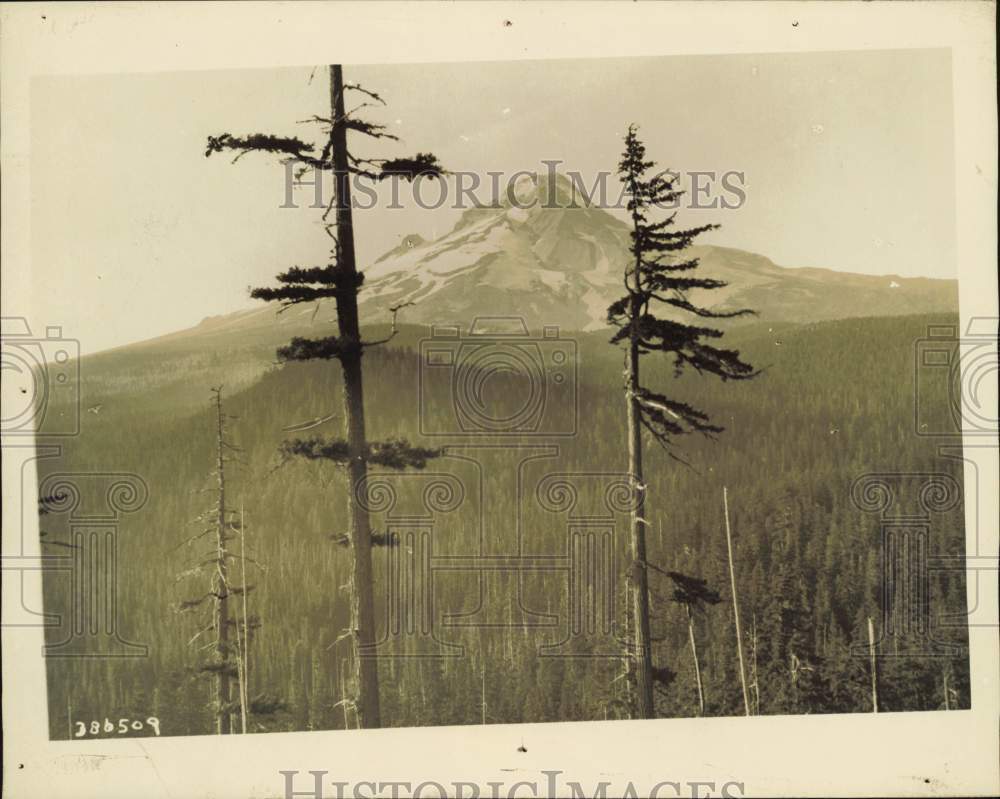 1925 Press Photo Majestic view of Mount Hood in Clackamas County, Oregon