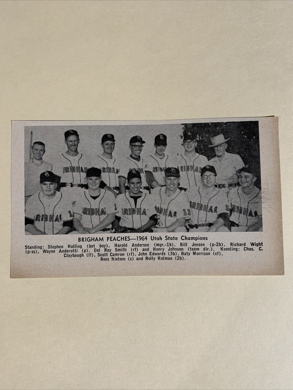Brigham Peaches Utah UT Champions 1964 Baseball Team Picture