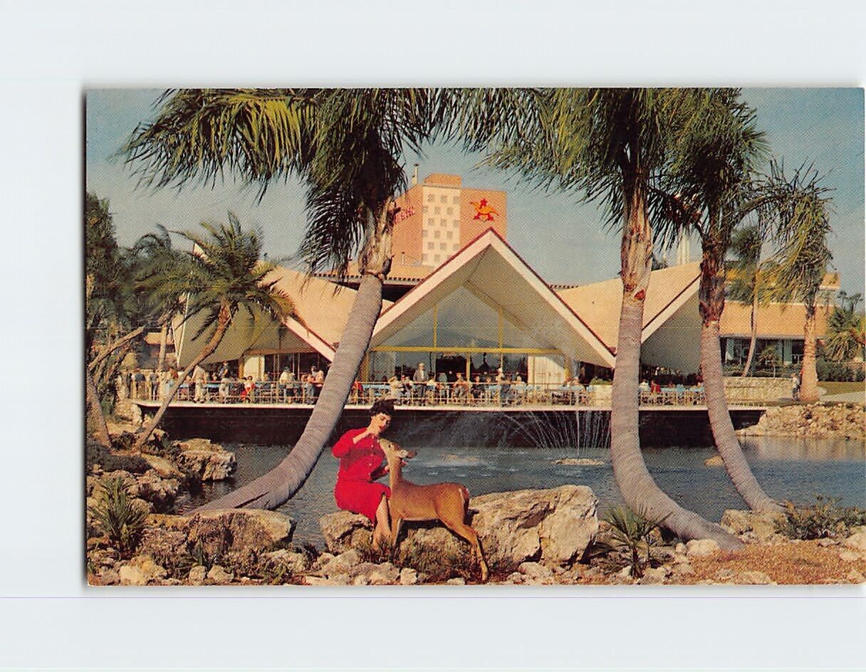 Postcard Hospitality House Busch Gardens Tampa Florida USA