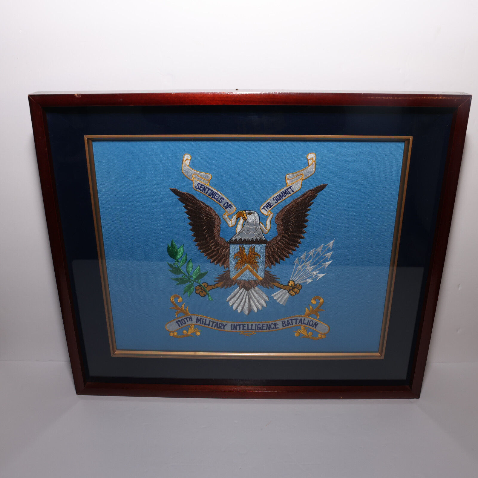 US Army 110th MI Bn Colors Framed Military Intelligence Sentinels Classic