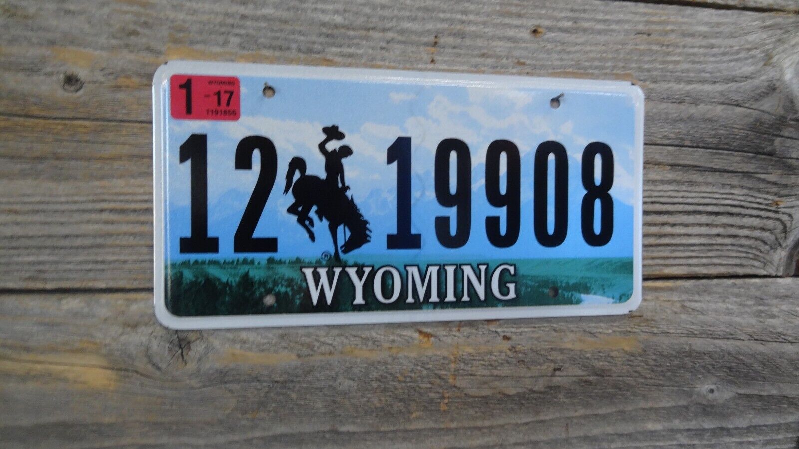Wyoming Passenger license plate with bucking horse Wyoming Excellent condition