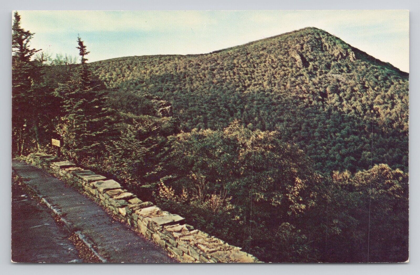 Hawk\'s Bill Mountain Shenandoah National Park Virginia Postcard 1773