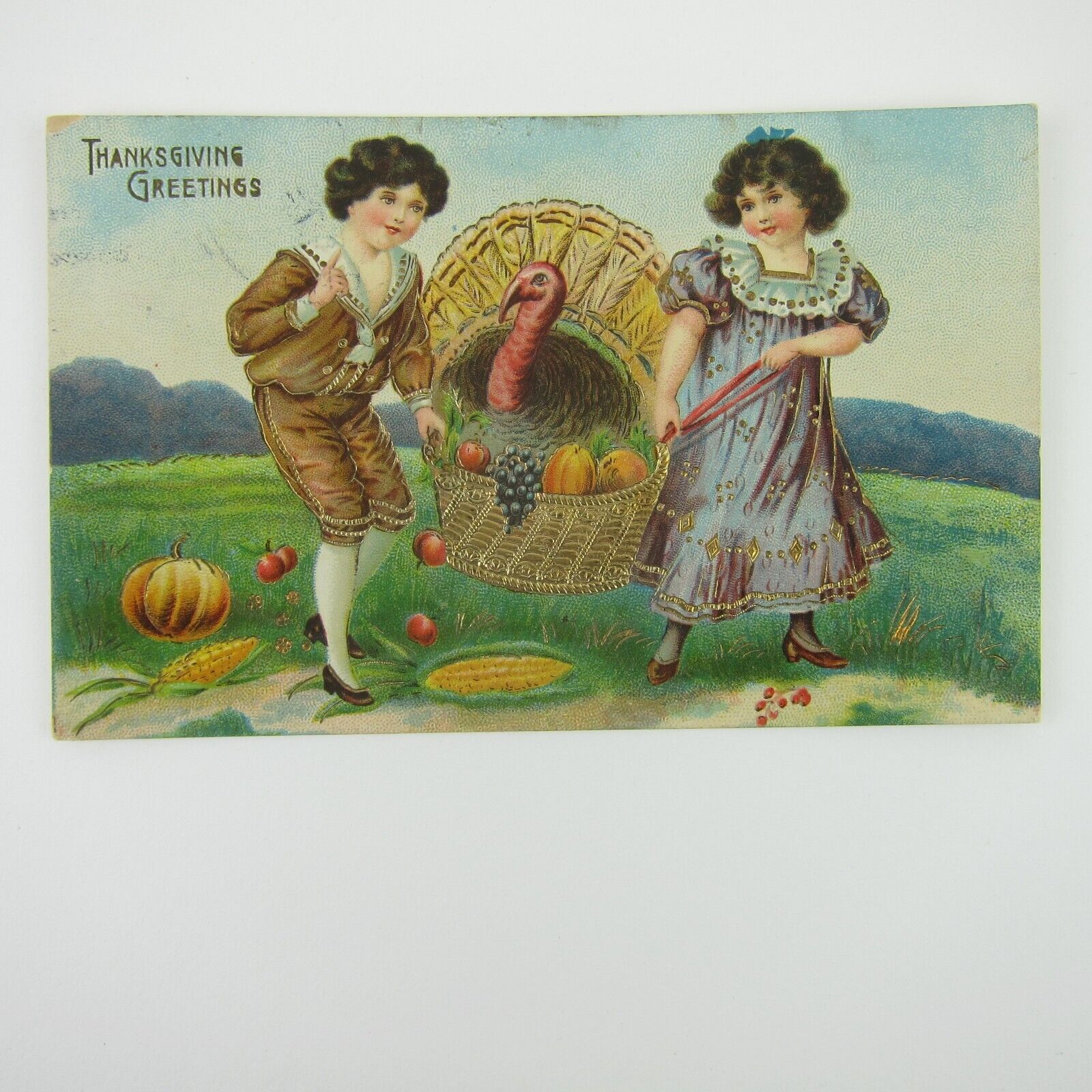 Thanksgiving Postcard Boy Basket Fruit & Wild Turkey Gold Embossed Antique 1913