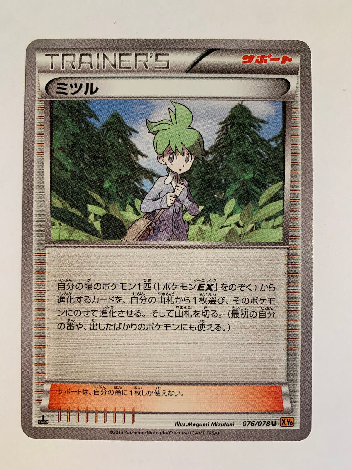 Pokemon Card / Wally 076/078 XY6 1ED Card (Emerald Break)
