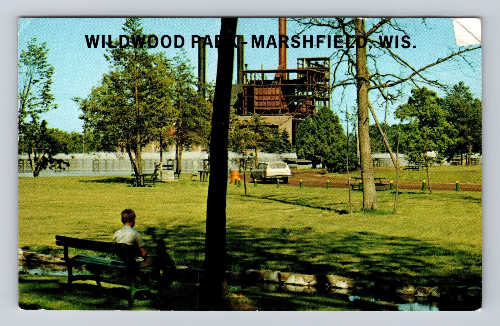Marshfield WI-Wisconsin, Beautiful Wildwood Park, Antique, Vintage Postcard