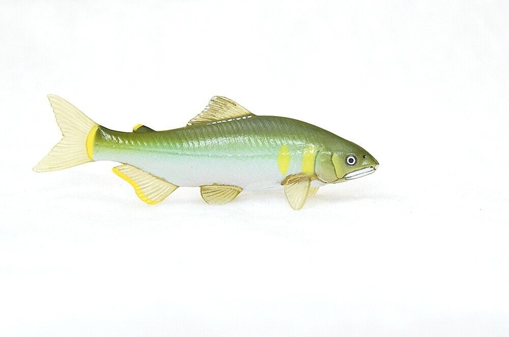 Kitan Club Nature Techni Colour Nature of Japan Ayu sweetfish figure US seller