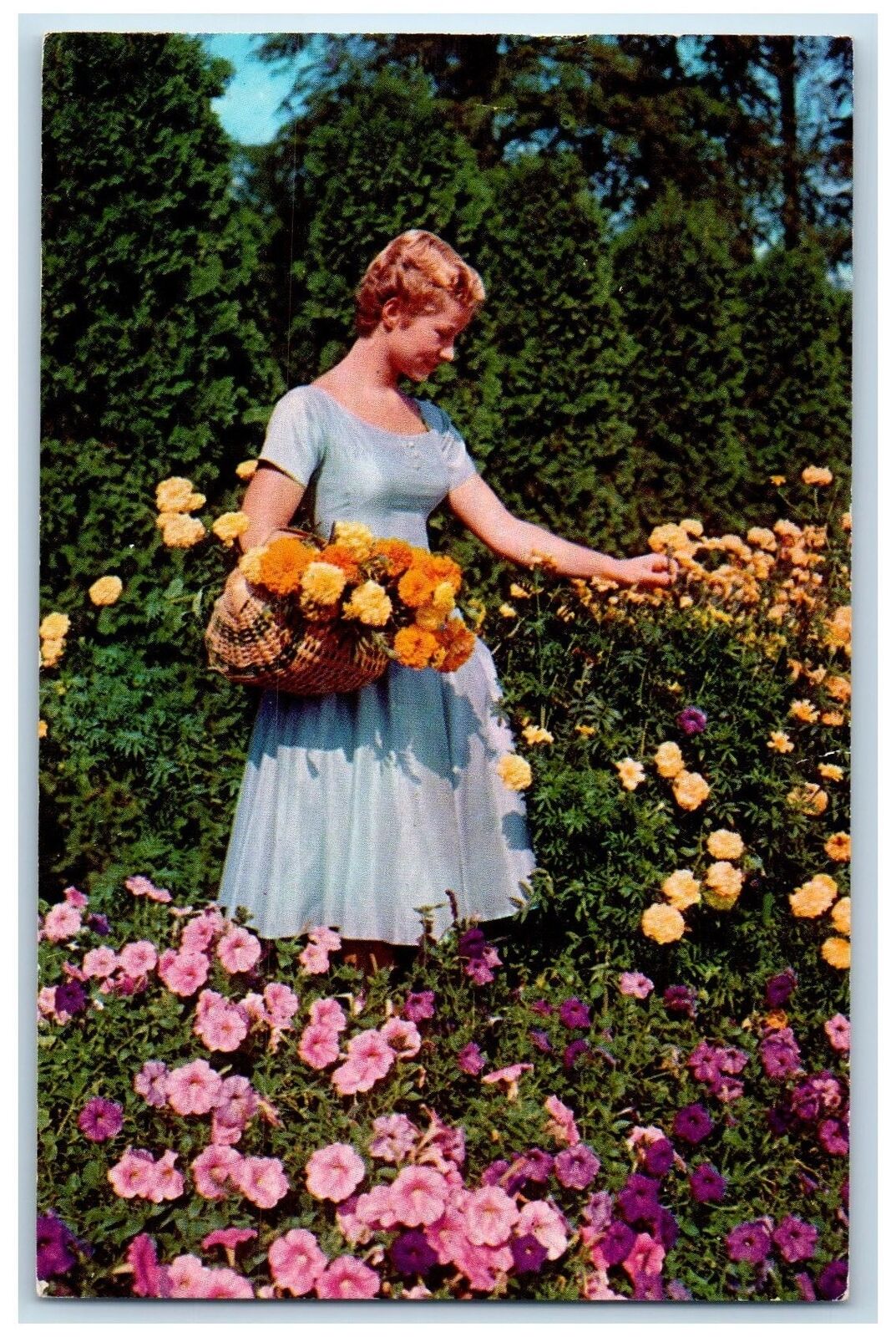 1960 Flower Scene At The Friendship Garden's Michigan City Indiana IN Postcard
