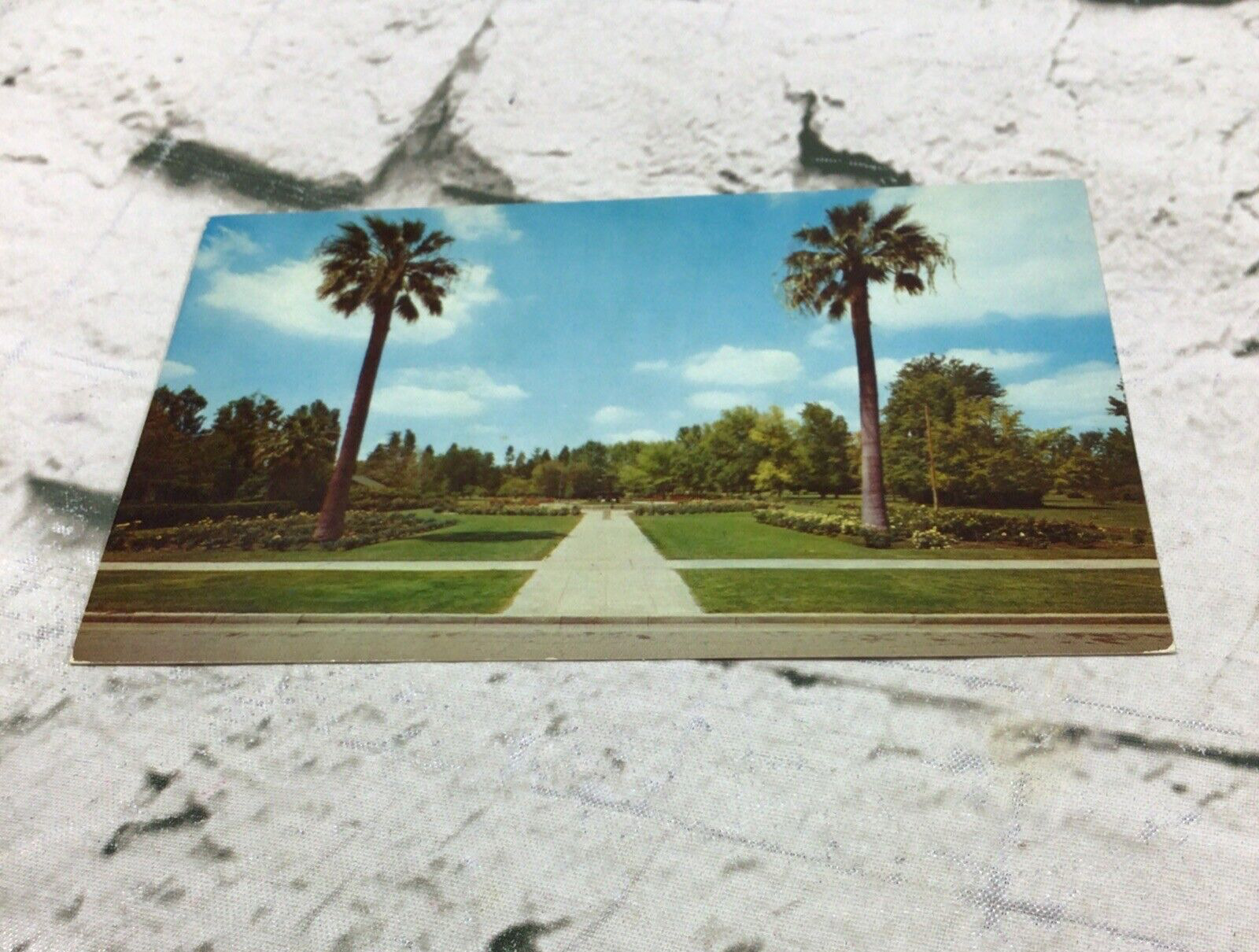 Applegate Park Merced California Vintage Postcard