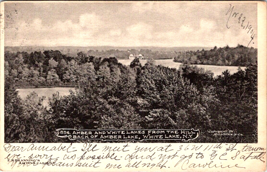 White Lake, NY, Overview of Lakes, Adirondacks, Postcard, 1904, #1239