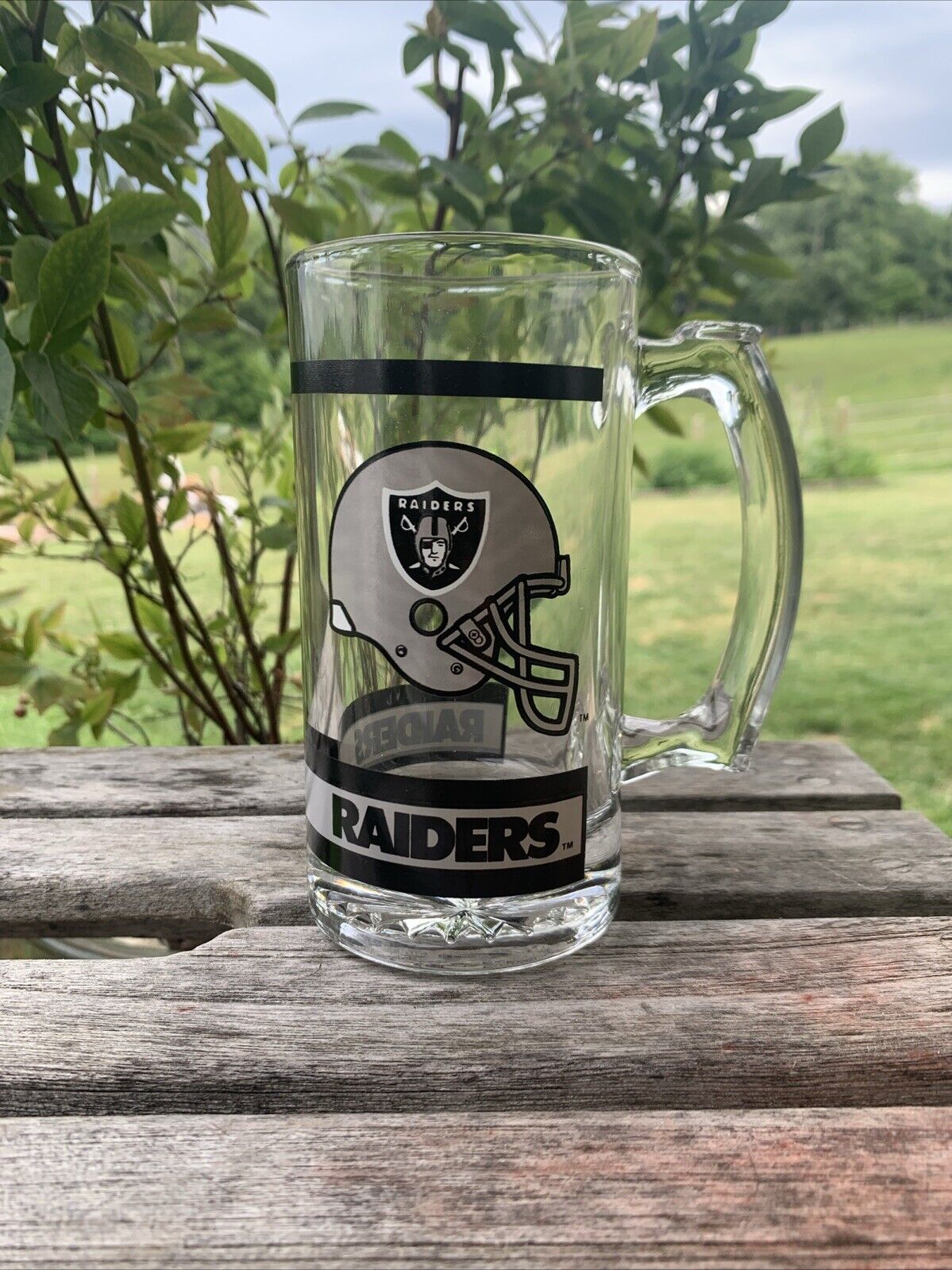Vtg Los Angeles Raiders Beer Glass Mug California NFL Oakland Las Vegas