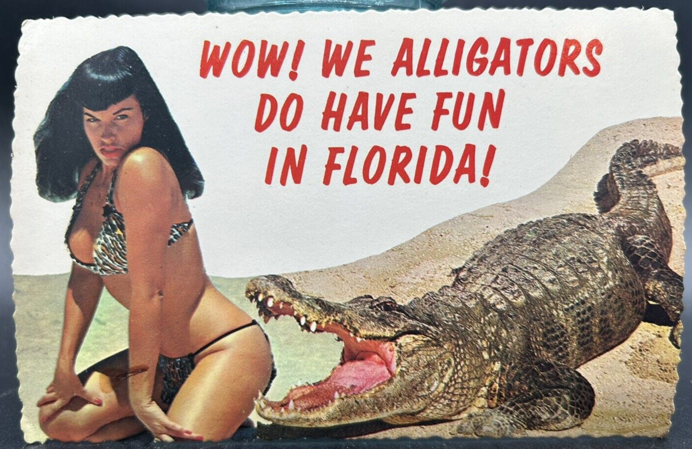 Vtg. Circa 1970s Bikini Woman & Alligator Risque Florida Postcard