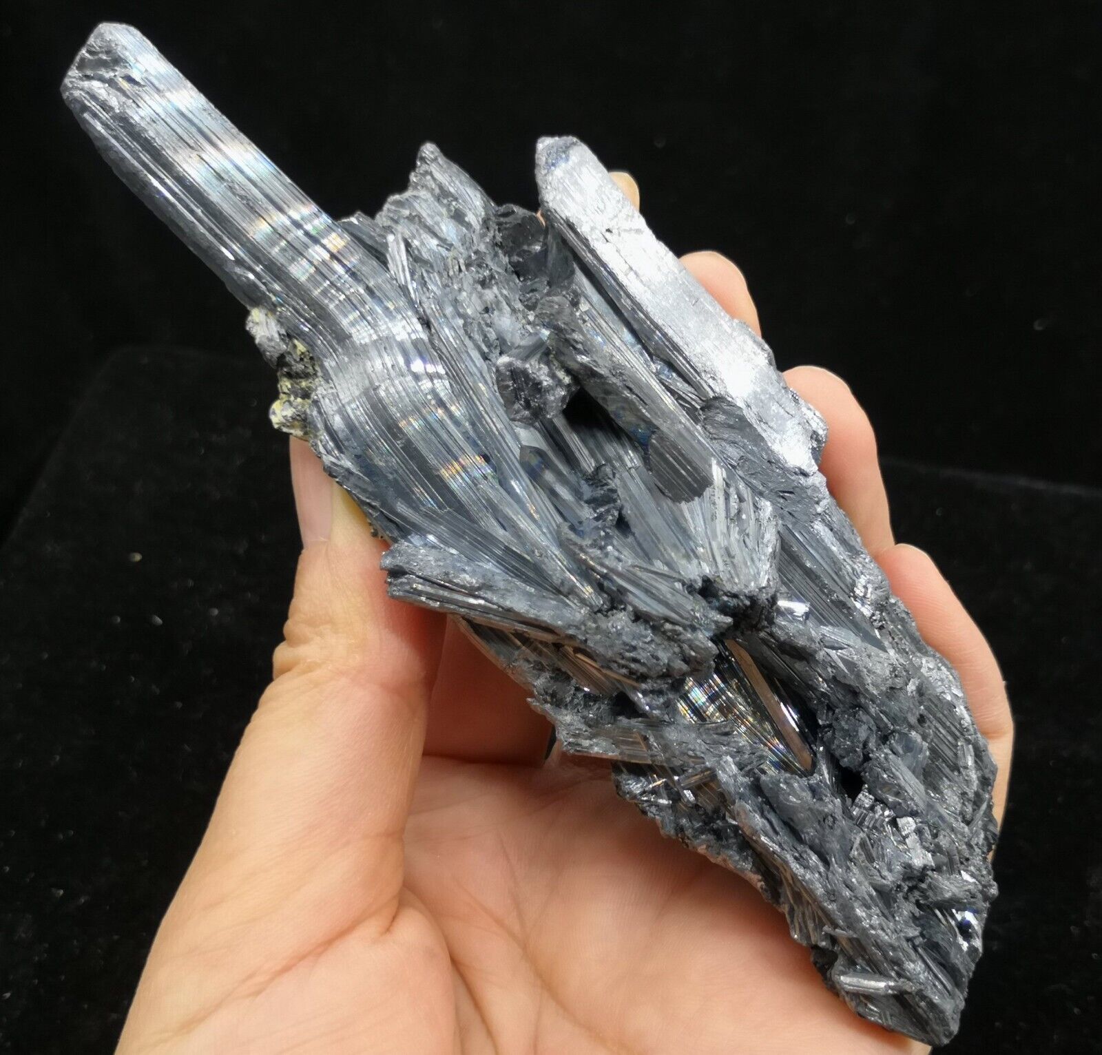 137mm 237g POWERFUL Stibnite cluster with NATURAL BENT CRYSTAL, showy all around