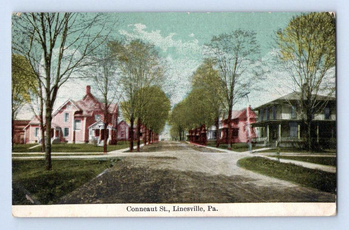 1910. CONNEAUT ST. LINESVILLE, PA. POSTCARD ST6