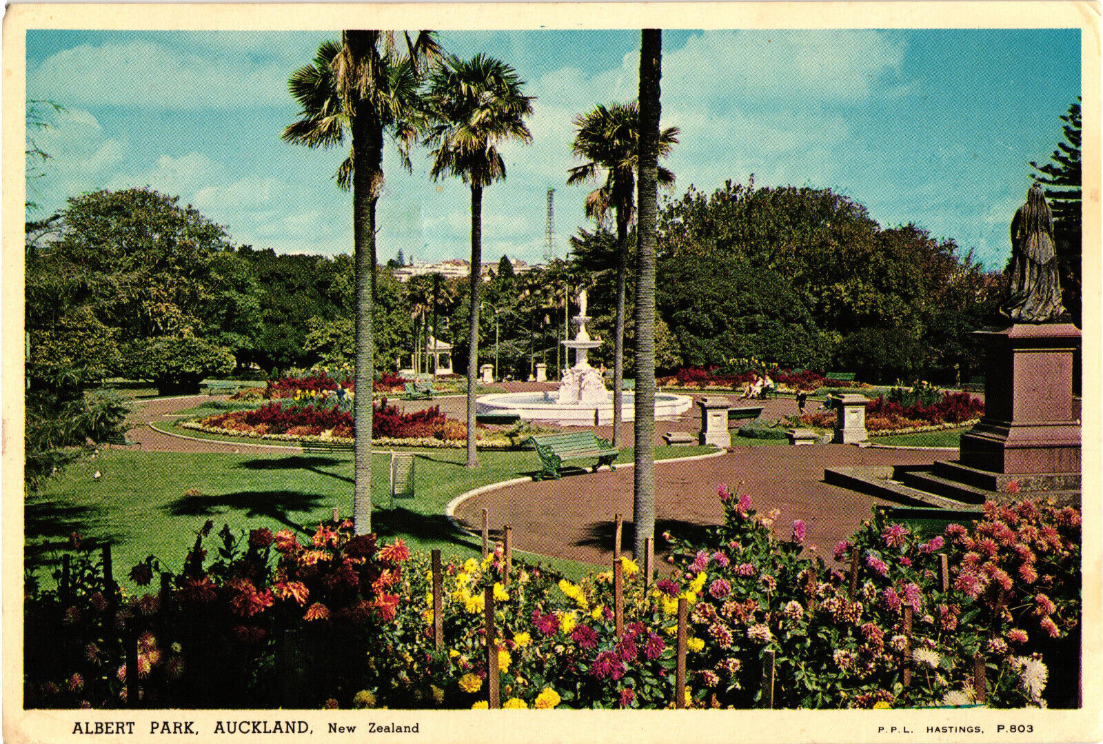 Albert Park, Auckland, New Zeland Postcard Unposted Pictorial Publications
