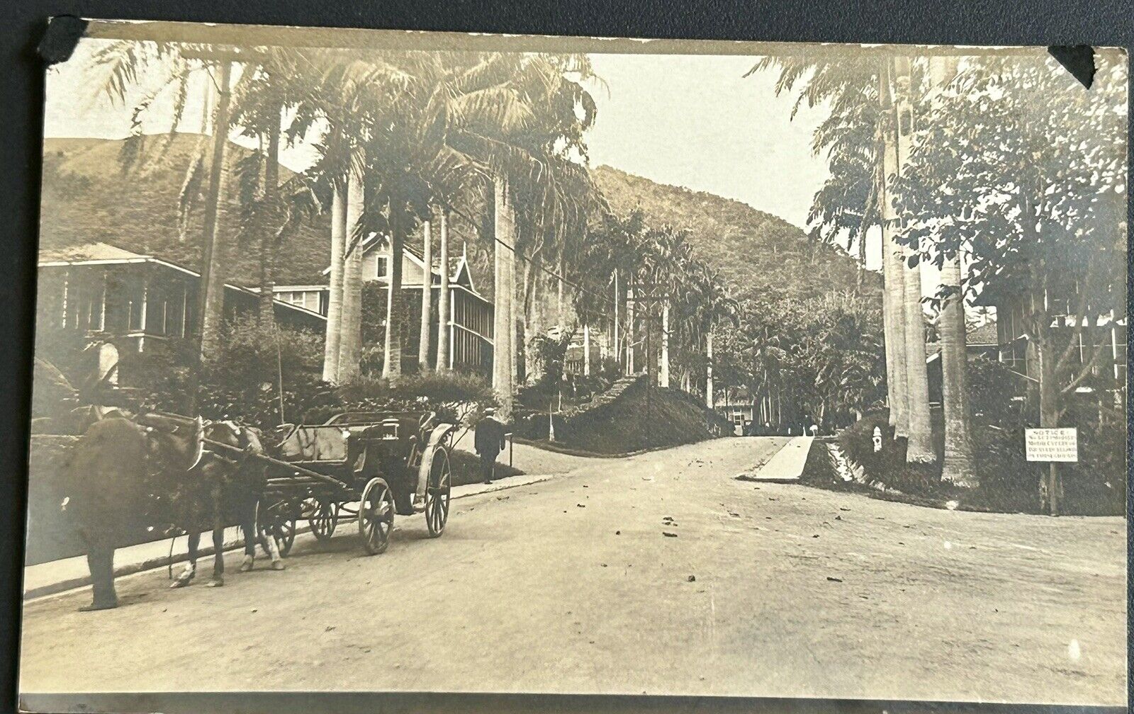 Ancon Hospital Grounds. Panama Canal Zone CZ. Real Photo Postcard. RPPC.