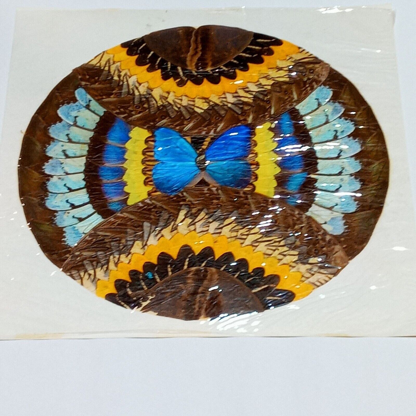 Vintage Butterfly Wing Folk Art Floral Geometric Collage Mosaic OOAK 17 x 17 B36