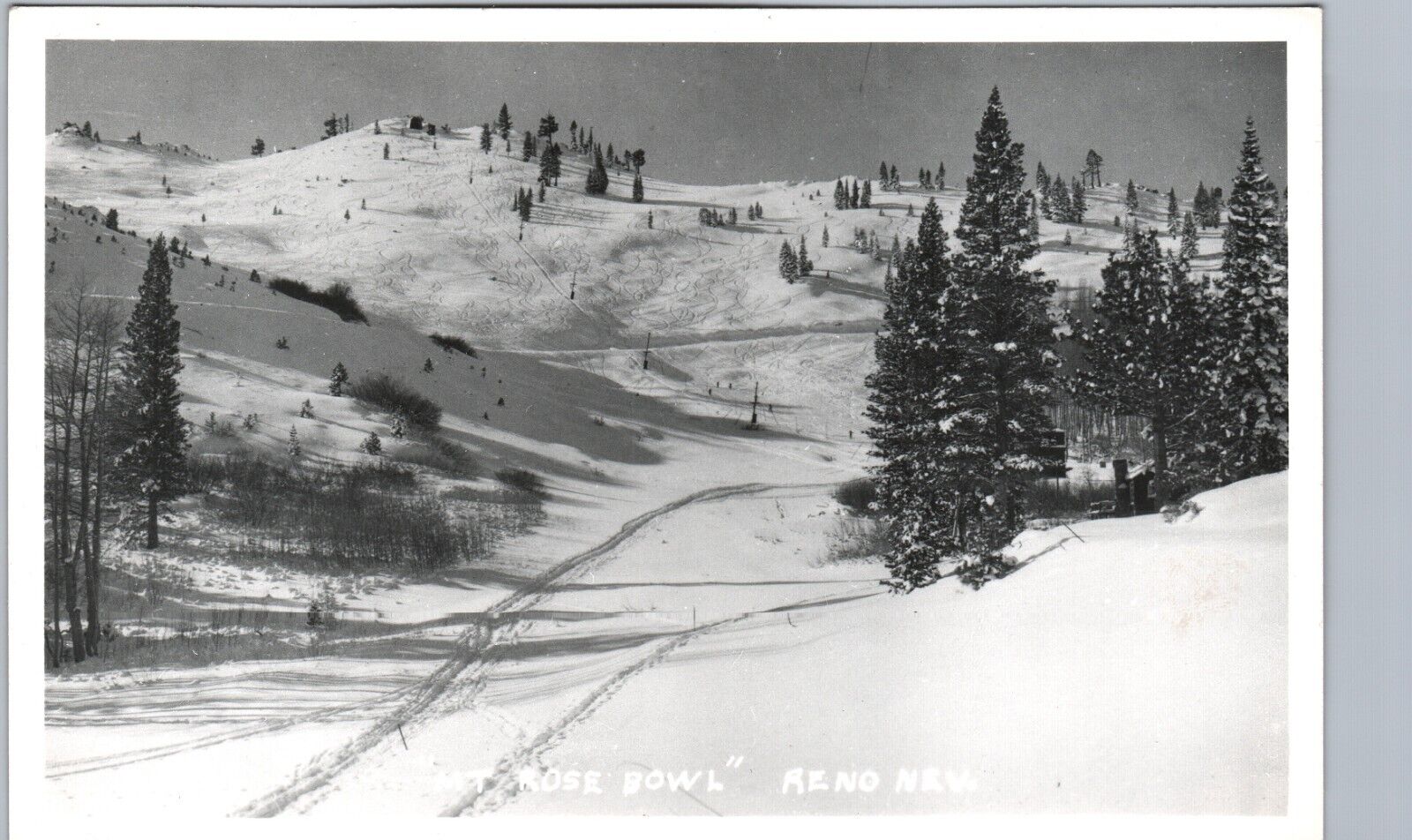 MT ROSE BOWL reno nv real photo postcard rppc nevada ski history mountain snow