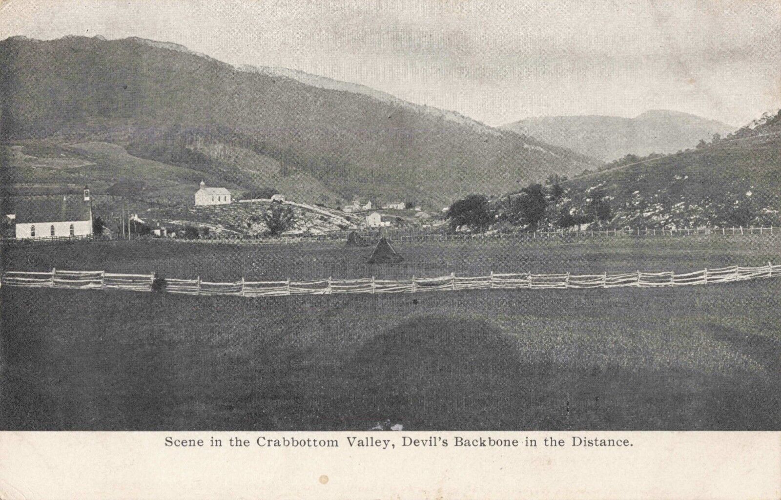 Scene in the Crabbottom Valley Virginia VA Blue Grass c1905 Postcard