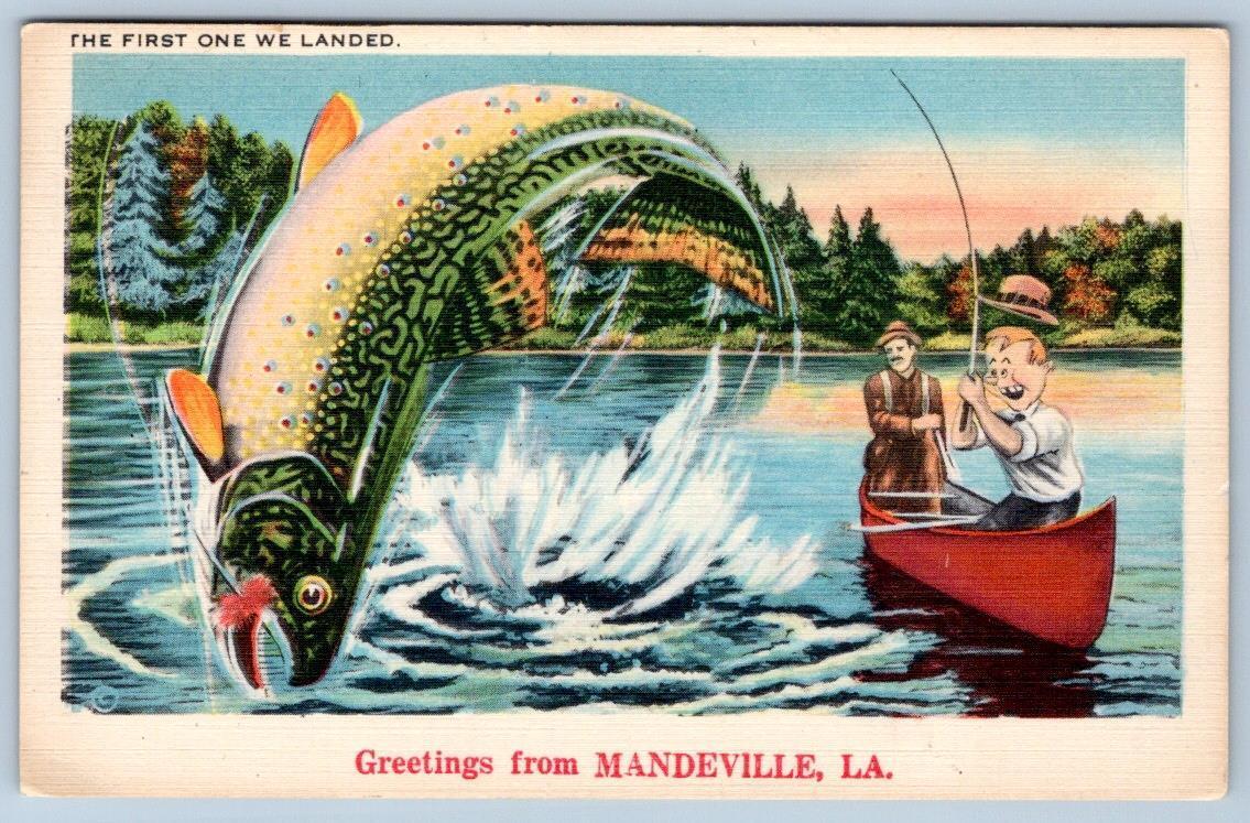 1940-50's GREETINGS FROM MANDEVILLE LOUISIANA LA EXAGGERATED FISH POSTCARD