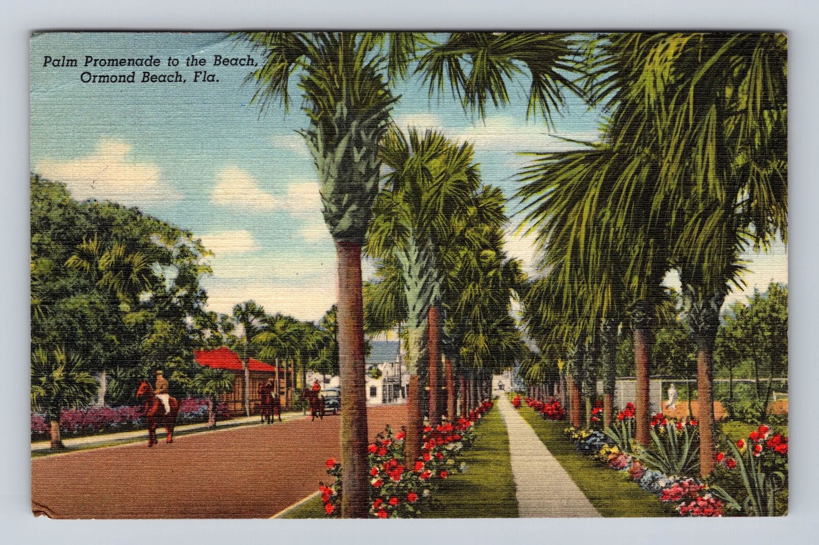 Ormond Beach FL-Florida, Palm Promenade to Beach, Vintage Souvenir Postcard