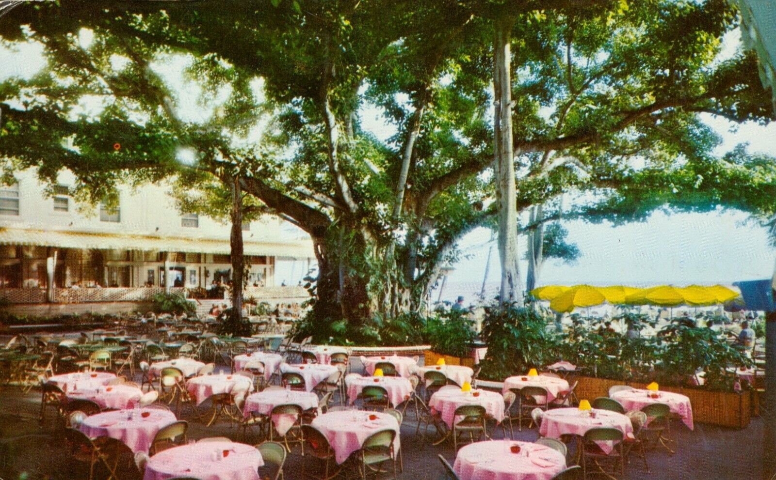 Vintage  Hawaii Postcard #6 1960s Moana Hotel