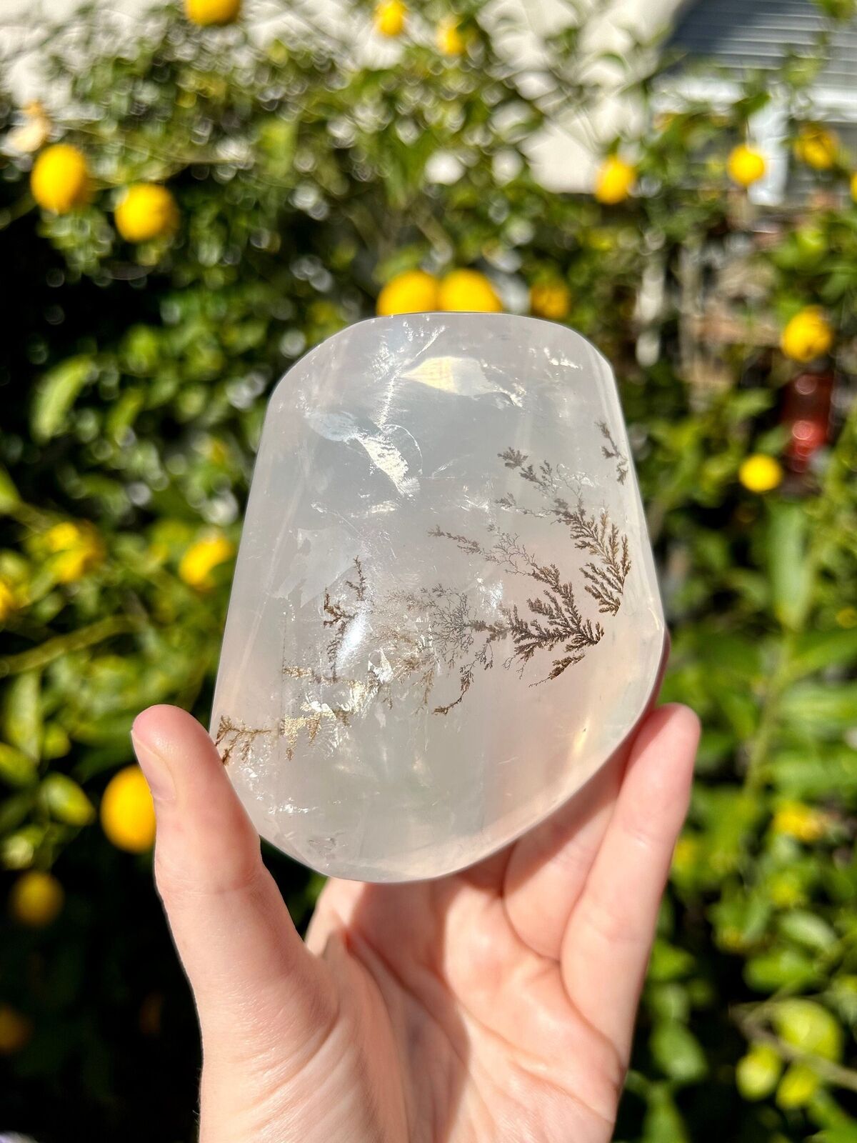 Exceptional Girasol Quartz Freeform with Golden Dendritic Inclusions from Brazil