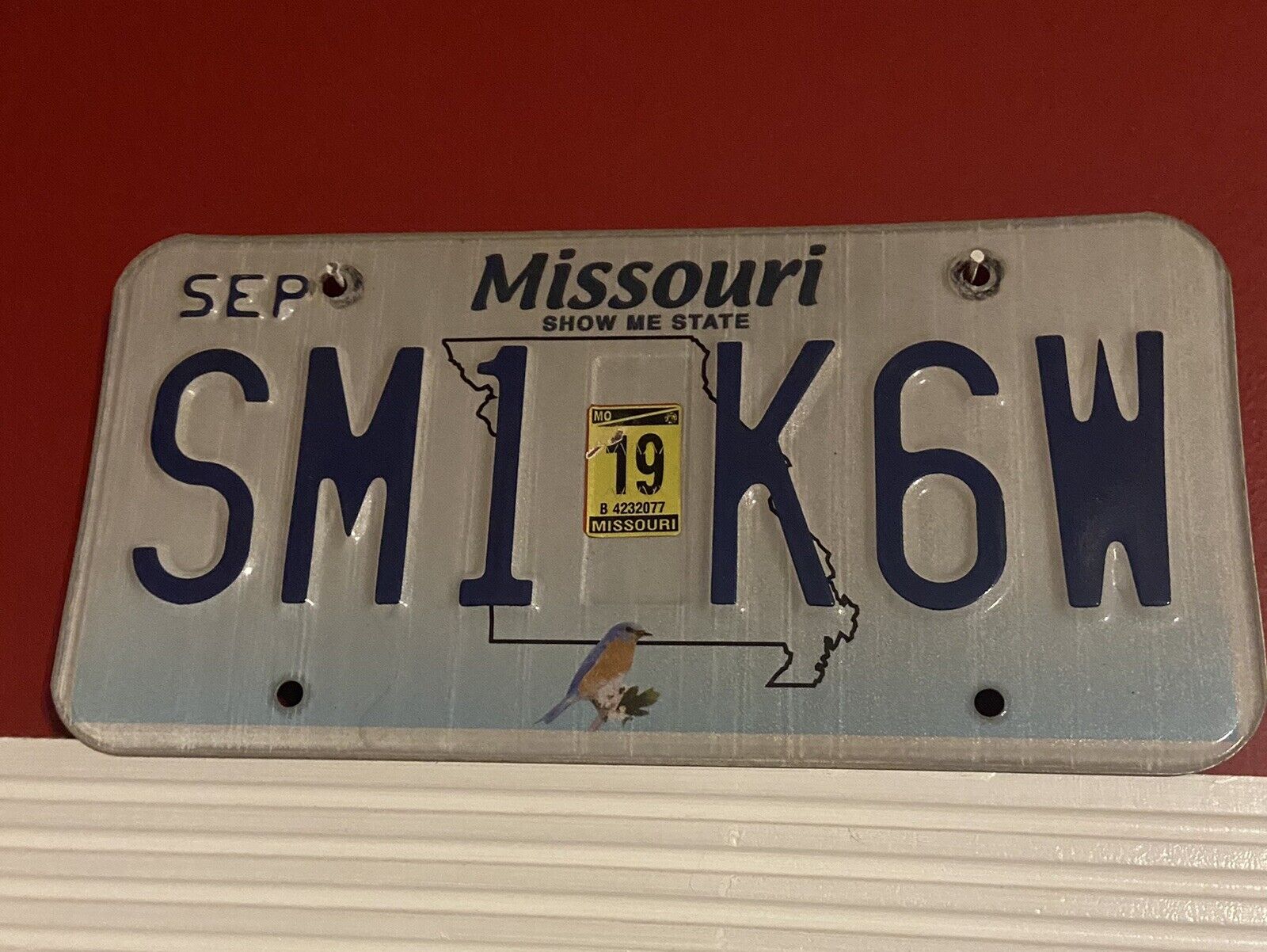 Missouri 2019 Show Me State license plate used