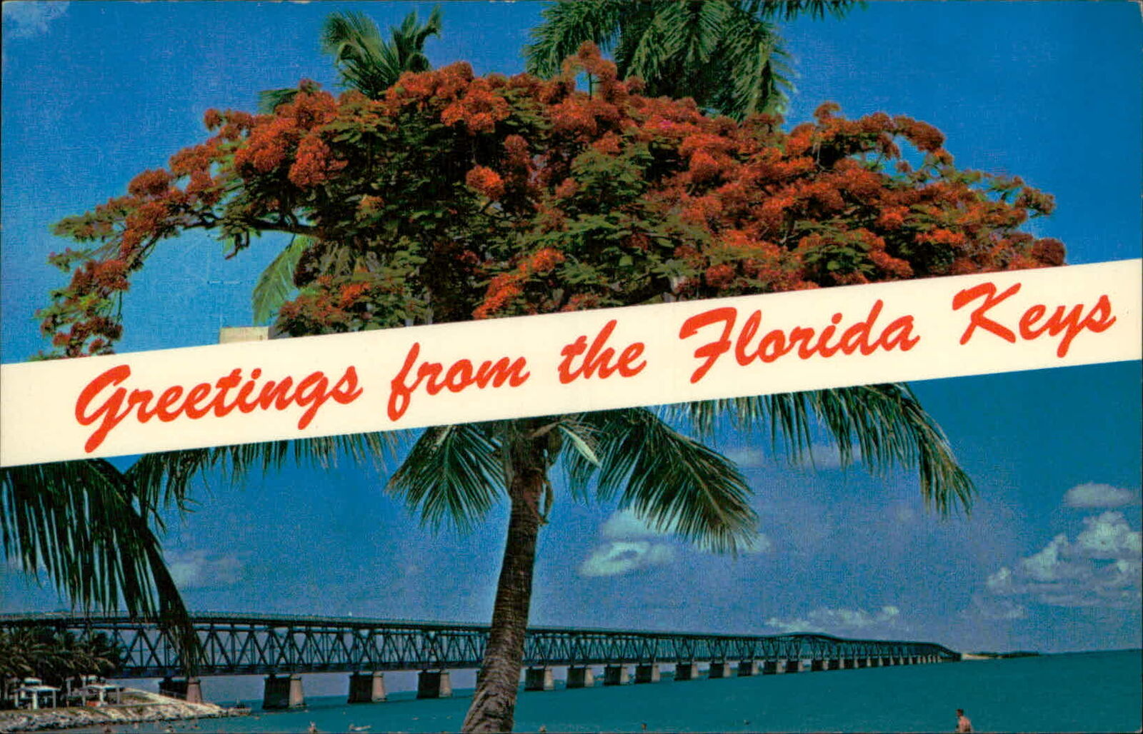 Postcard: Greetings from the Florida Keys