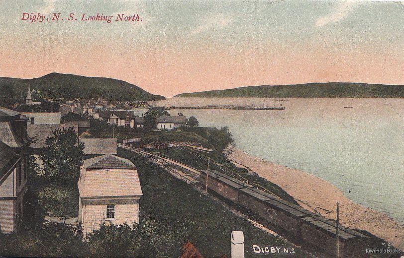 Postcard Looking North Digby N.S. Canada
