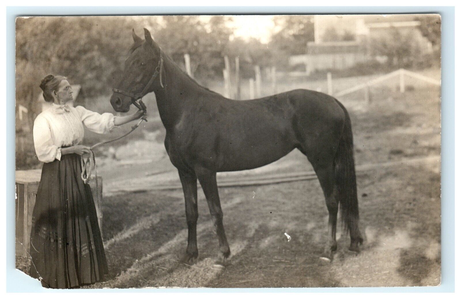 Woman Holding Horse Stratford NY New York Early Postcard RPPC F.O. Dodge - Torn