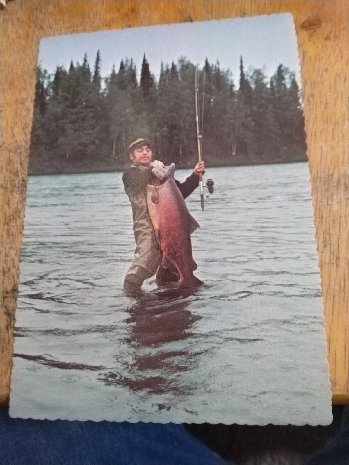 Postcard Alaskan Chinook Salmon Fisherman Kenai River, AK Pacific Water Posted